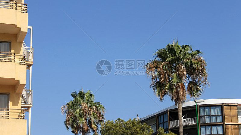 上海周边高铁游：解锁你的周末休闲新方式